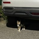 원투쓰리 당구장 이미지