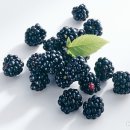 블랙베리마켓 이미지