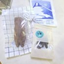 댕댕까까 이미지