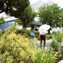 작은정원 이미지