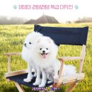 퍼피퍼피(puppy puppy) 이미지