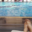 드래곤힐게임장 이미지