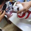 금비동물병원 이미지