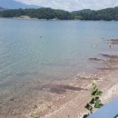 토끼와거북이펜션2 이미지