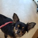 옥포대첩로 이미지