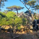 강하면사무소 1층 이미지