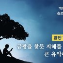 잠언 강해 03 - 금광을 찾듯 지혜를 찾으면 큰 유익이 있다 : 정동수 목사, 사랑침례교회, 킹제임스흠정역성경, 설교, 강해, (20 이미지