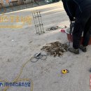 반안초등학교 네이버블로그