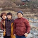 그린모빌홈 Daum카페