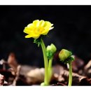 보수초등학교 이미지