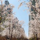 장지동 376-1 이미지