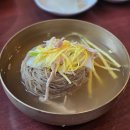 숯골원냉면 | 대전 전현무계획4 냉면 맛집 숯골원냉면 꿩냉면 후기!