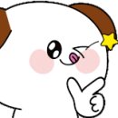 누리애견미용 이미지