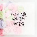 24시 로운동물의료센터 | 양천구동물병원에서 전하는 고양이 건강 체크포인트