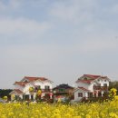 은초롱펜션 이미지