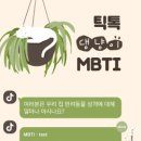 모요일