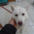 신월동227 이미지