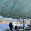 이마트24 밀양예림점 | 경남 눈썰매장 밀양얼음골폭포관광농원눈썰매장 아이랑 다녀온 후기