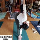 아헹가요가파주본원 이미지