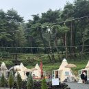 팔꽁이 | 대구 팔공산 팔꽁이 캠프닉 방문 후기(애견동반 가능)