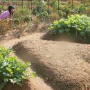 야호수산 이미지