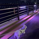 멍쓰데이 이미지