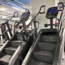 철인 골프 앤 피트니스 | 천국의 계단이 있는 헬스장 후기-벤골프앤피트니스 여의도본점 바디프렌드까지 있어요