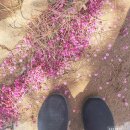 매산3로L 네이버블로그