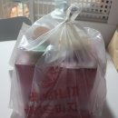 프레드피자 강원 고성점