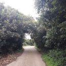 신평리 도요지 이미지