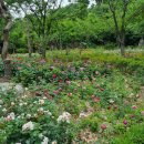 나비채생태공원 이미지