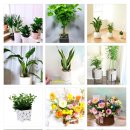 제일화원 이미지