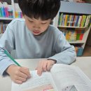 신문읽기 | 🌿 1–4주차 신문 읽기 챌린지 최종 후기