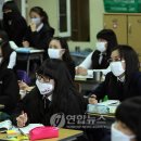 플루코 이미지
