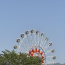 입석농장 | 곡성 섬진강 기차마을 증기기관차 가격 현장 예약