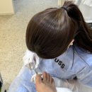 레푸스 연산점 이미지