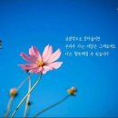 수원-0048 이미지