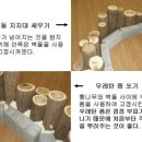 월산초등학교 이미지