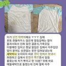 박사세탁 이미지