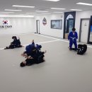 힘찬합기도주짓수태권도 이미지