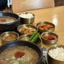 [제주시 맛집] 섬누들 : 제주공항 근처 고사리육개장 맛집