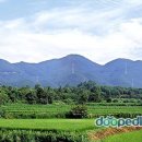 오서산 이미지