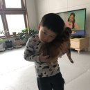 솔하우스&갤러리 이미지