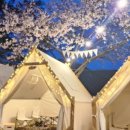 강촌로2 이미지