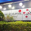 마구로본가 이미지