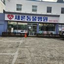 새론동물병원 이미지
