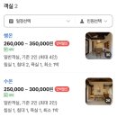 스테이오온