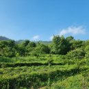 구고방앗간 이미지