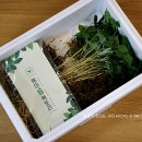 농업회사법인 유한회사 새싹 이미지