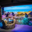 씨 라이프 이미지